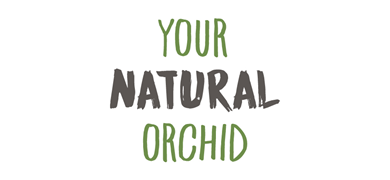 Plateau 4 trous Your Natural Orchid