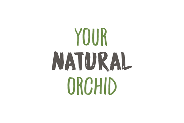 4-hole tray Your Natural Orchid