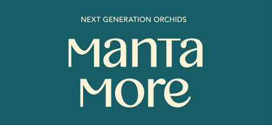 Manta More