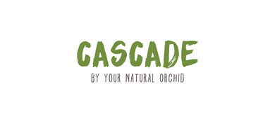 Cascade